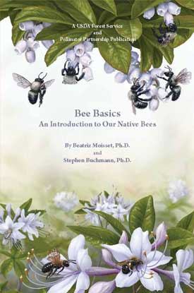 bee-basics